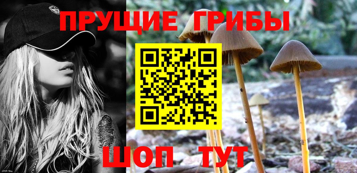Галлюциногенные грибы Cubensis Лангепас