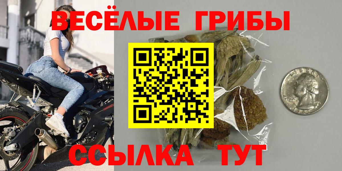 Лангепас  Псилоцибиновые грибы GOLDEN TEACHER  закладка  Вход с VPN 